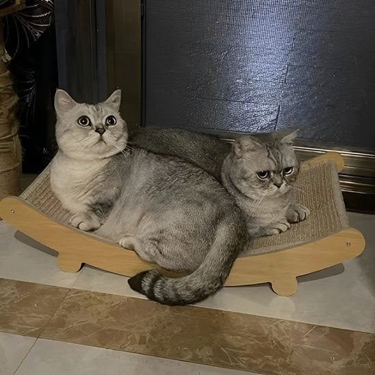 Deux chats reposant sur un griffoir hamac en bois avec surface en sisal