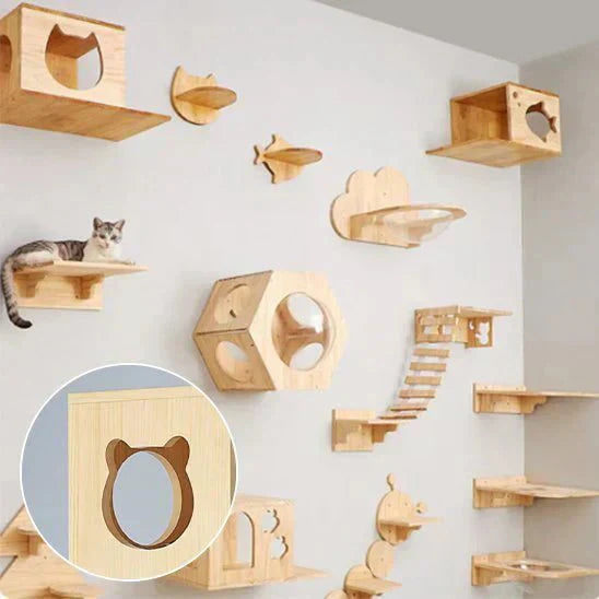 chat utilisant un arbre à chat mural avec plateformes murales pour grimper et se reposer