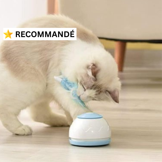 Jouet interactif automatique pour chat – Recommandé pour commencer