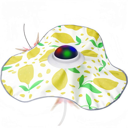 Jouet chat interactif | StimulChasse