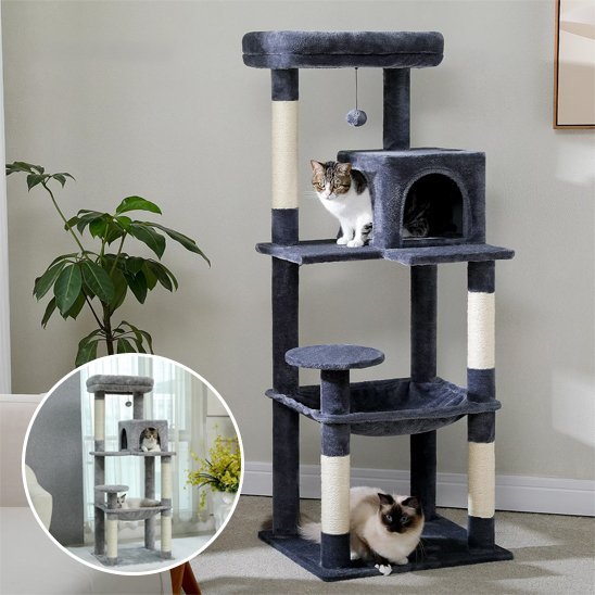 arbre  chat_8c4933cf 3b5c 4bdf b132 f9ab62076e18