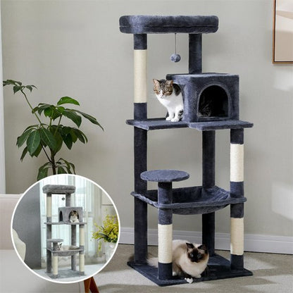 arbre  chat_8c4933cf 3b5c 4bdf b132 f9ab62076e18