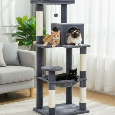 arbre  chat_97566987 810f 4ff3 b555 63cc3ed04940