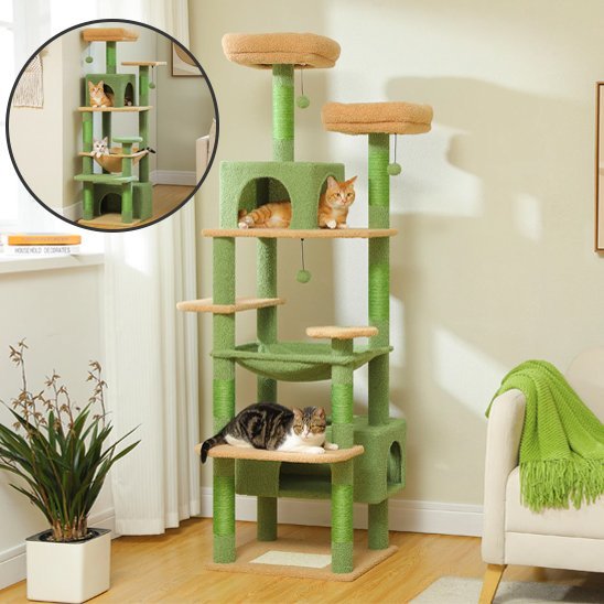 arbre  chat_ce4b493f 277f 4b85 bc8c 53139107f0b5