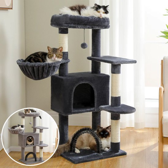 arbre  chat_e0bb62ad 8dfb 4e81 a752 c448f418a9a1