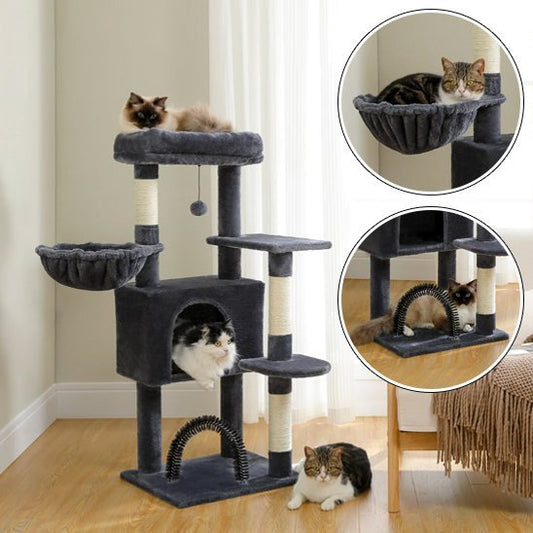 arbre  chat_e30911f5 1e91 4ccd 8098 c80bab981ac8