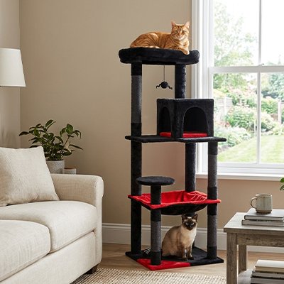 Arbre à chat design noir et rouge installé dans un salon avec chats