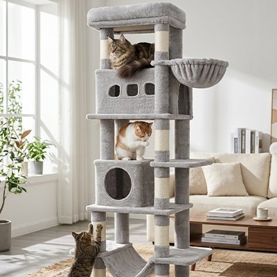 Arbre à chat gris avec hamac et plateforme d'observation