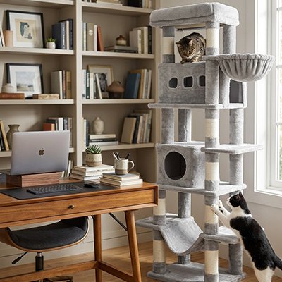 Arbre à chat gris avec plateformes d'observation et zones de repos