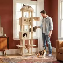 Arbre à chat XXL beige de 210 cm avec chats dans un salon