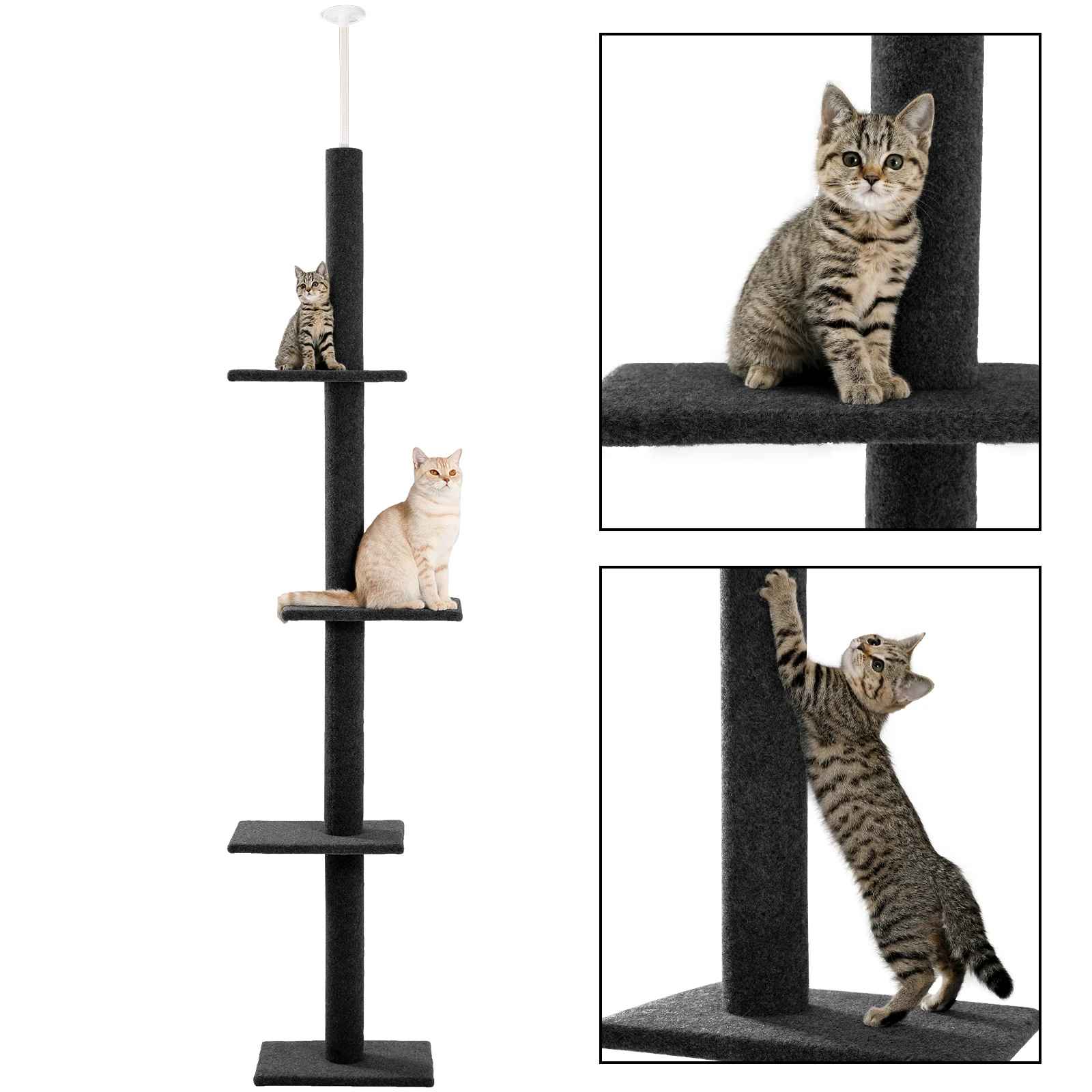 Chats utilisant un arbre à chat design minimaliste avec plateformes et poteaux griffoirs
