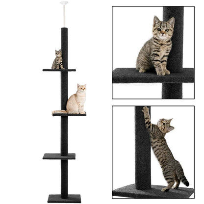 Chats utilisant un arbre à chat design minimaliste avec plateformes et poteaux griffoirs
