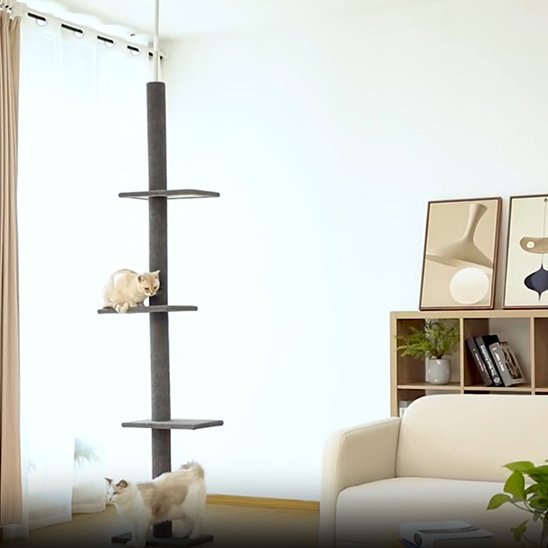 Arbre à chat design minimaliste noir avec plateformes dans un salon moderne
