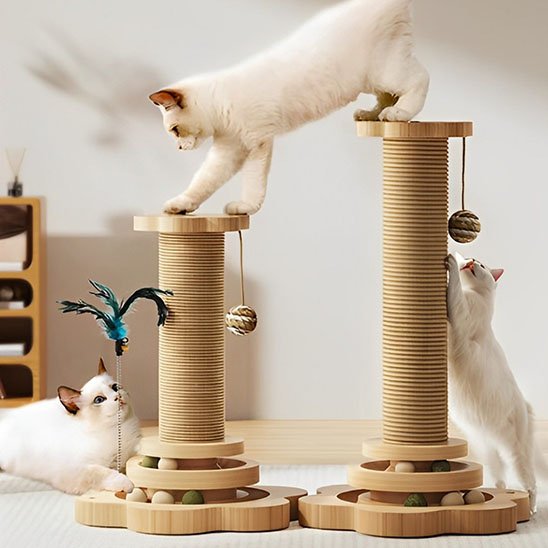 Trois chats jouant sur deux arbres à chat en bois avec colonnes griffoir, balles suspendues et plume interactive
