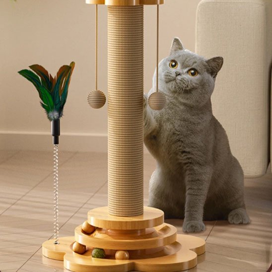 Chat gris jouant avec un arbre à chat en bois avec colonne griffoir, plumes suspendues et balles
