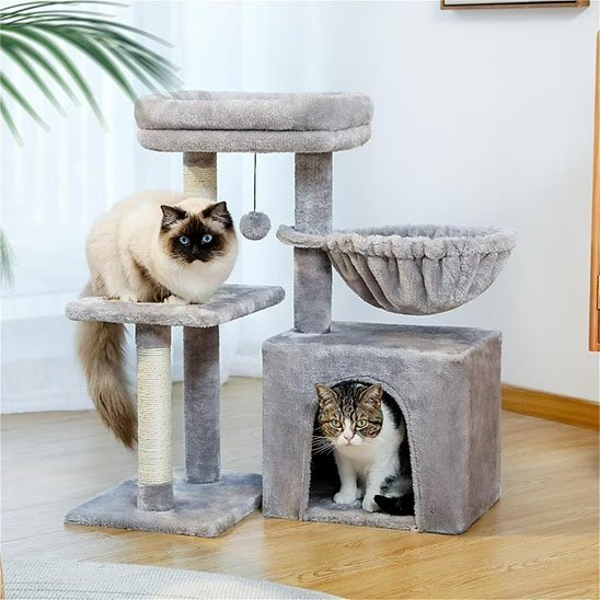 Arbre à chat gris avec niche, hamac suspendu et plateforme où deux chats se reposent
