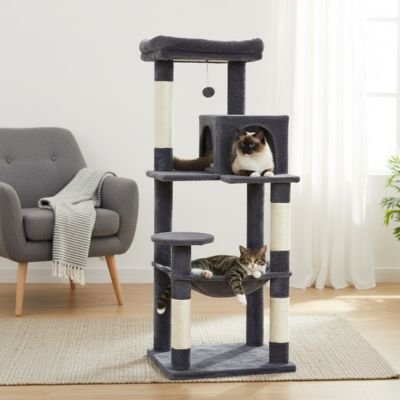 Arbre à chat gris avec niche, hamac et plateformes où deux chats se reposent dans un salon lumineux
