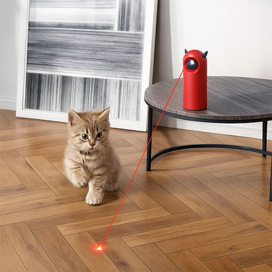 Chat jouant avec un jouet laser automatique pour chat