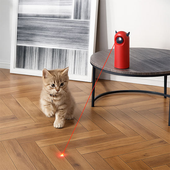 chat jouant avec un jouet laser interactif au sol

