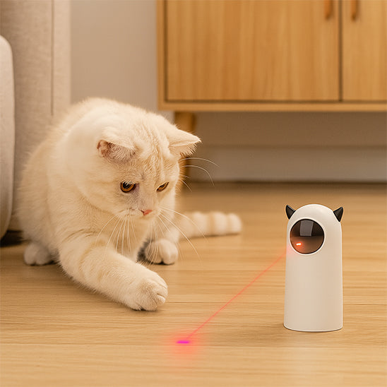 chat observant un laser jouet interactif dans une cuisine
