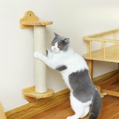 corde arbre a chat_1082ea0a c210 4dea 9001 bc709a9cea55