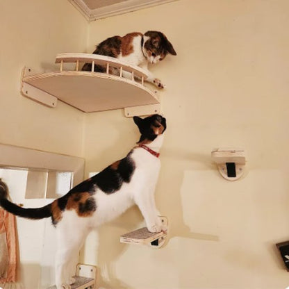 Étagère murale d’angle pour chat en bois avec plateforme surélevée et marchepieds fixés au mur
