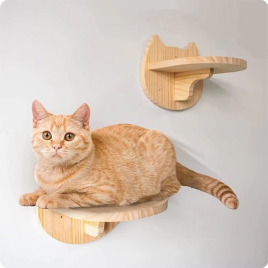 Étagère murale pour chat en bois avec plateforme ronde et support décoratif en forme de tête de chat
