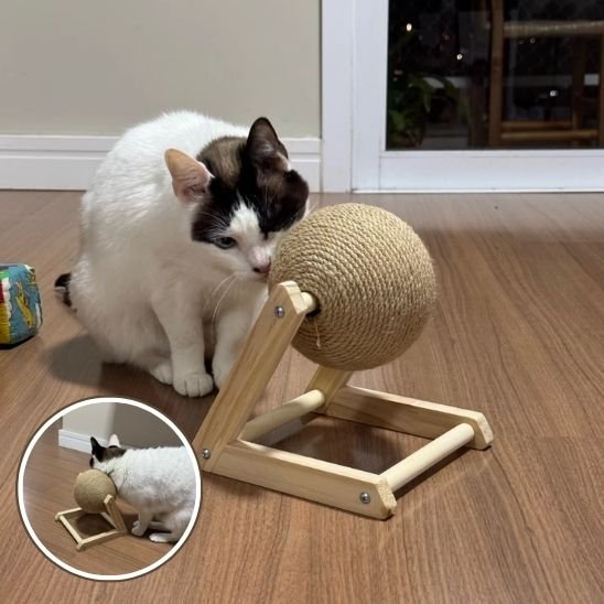 chat qui joue avec un griffoir boule en sisal