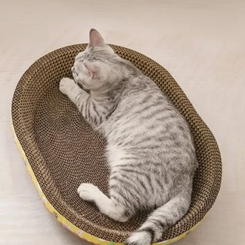 Chat gris allongé dans un griffoir en carton en forme de panier ovale posé au sol
