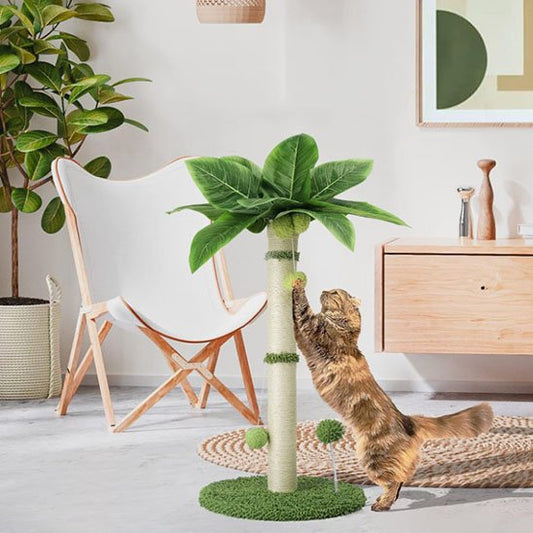 Chat tigré qui griffe un griffoir en forme d arbre avec feuilles décoratives dans un salon moderne
