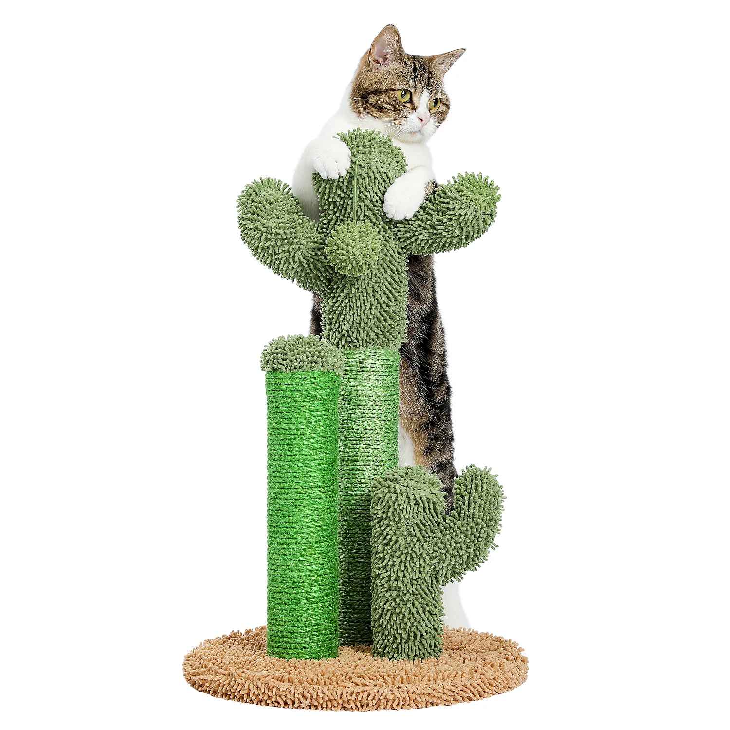 Chat tigré debout accroché à un griffoir cactus vert sur une base ronde en fibres naturelles

