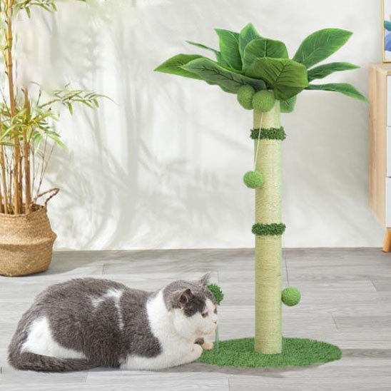 Chat gris et blanc couché près d un griffoir palmier avec tronc en sisal et feuilles vertes
