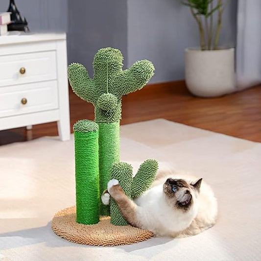 Chat clair jouant avec un griffoir en forme de cactus vert posé sur un tapis dans un salon
