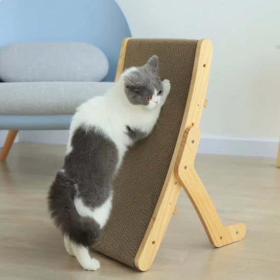 Chat faisant ses griffes sur un griffoir incliné en bois