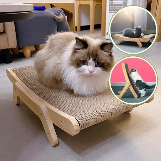 Chat reposant sur un griffoir incliné en bois