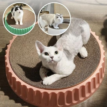 griffoir chat_02add708 5c7a 4169 ba3f 8b5a922bc296