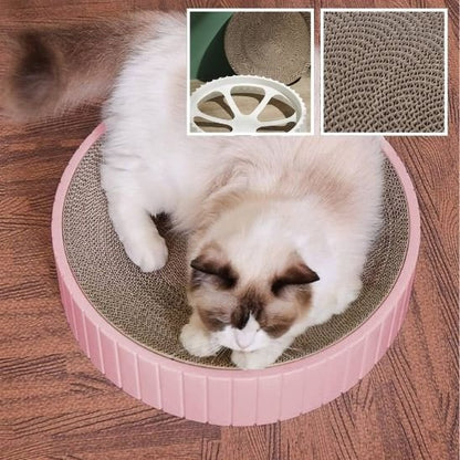 griffoir chat_1c1e4602 2a7c 46bf a718 d5a16f099100