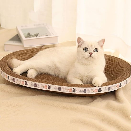 griffoir chat_28e25c28 7c5b 471a a691 2cb7706d825d