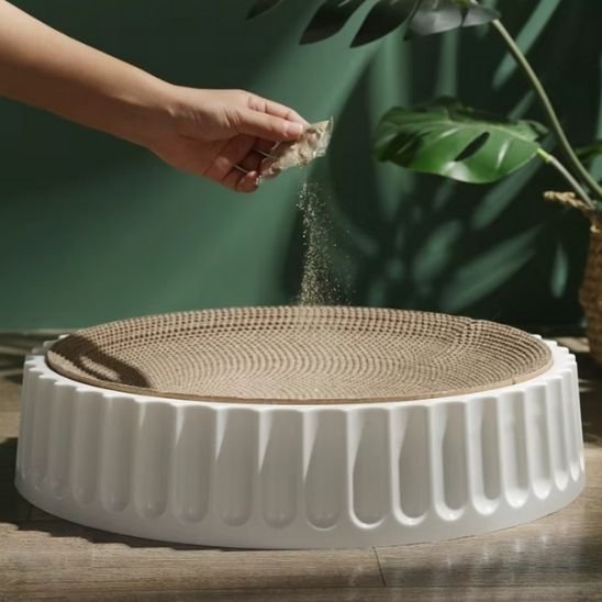 griffoir chat_4d12a76c f19c 4eb3 9e62 0712cb874c2c