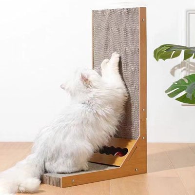 griffoir chat_6d37fe54 5012 4971 bd7a afd1ccb28692