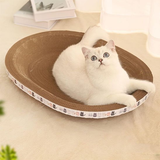 griffoir chat_72a8658b 29e8 43dd bea1 3da3503c56b8