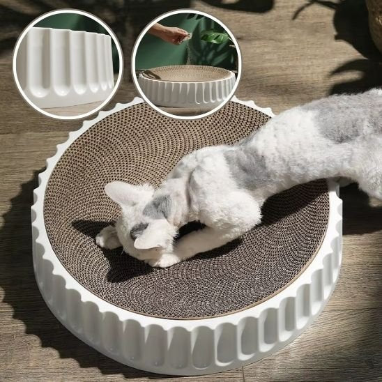 griffoir chat_7dc6c9fa a532 47a4 9f63 5ebded717df8