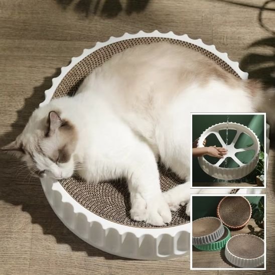 griffoir chat_7f76f937 4969 423c afbc 2bd3fb88b8d7