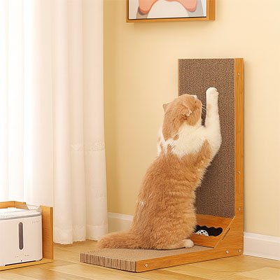 griffoir chat_85f66fd3 a0b8 4ab2 a594 87f97e697b2e