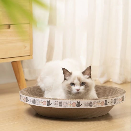 griffoir chat_9863c239 4293 4637 9b12 ece737772901