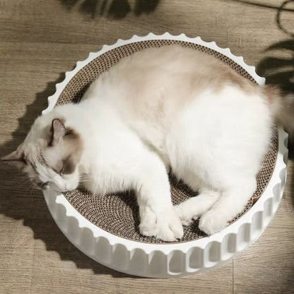 griffoir chat_b708ca2a 97c6 4408 8ca6 142b47068d3d