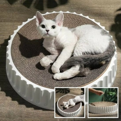 griffoir chat_dc8625e6 1070 4a58 beca 32c0108a0ce7