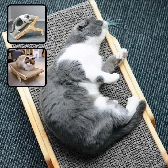 Griffoir pour chat | Robuste Design - Chatmuser