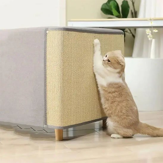 chat faisant ses griffes sur protection canapé anti griffures en bambou
