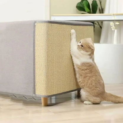chat faisant ses griffes sur protection canapé anti griffures en bambou
